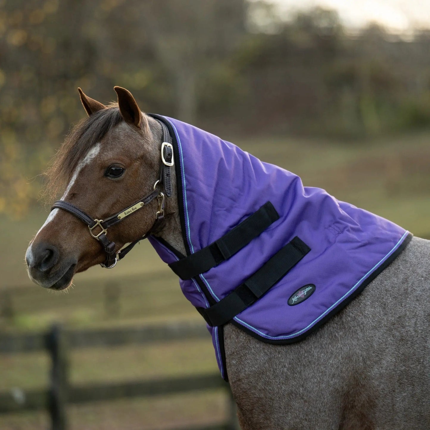Pony 180G Medium Weight Winter Neck Warmer - Waterproof & Breathable - Riders Choice Supply Co