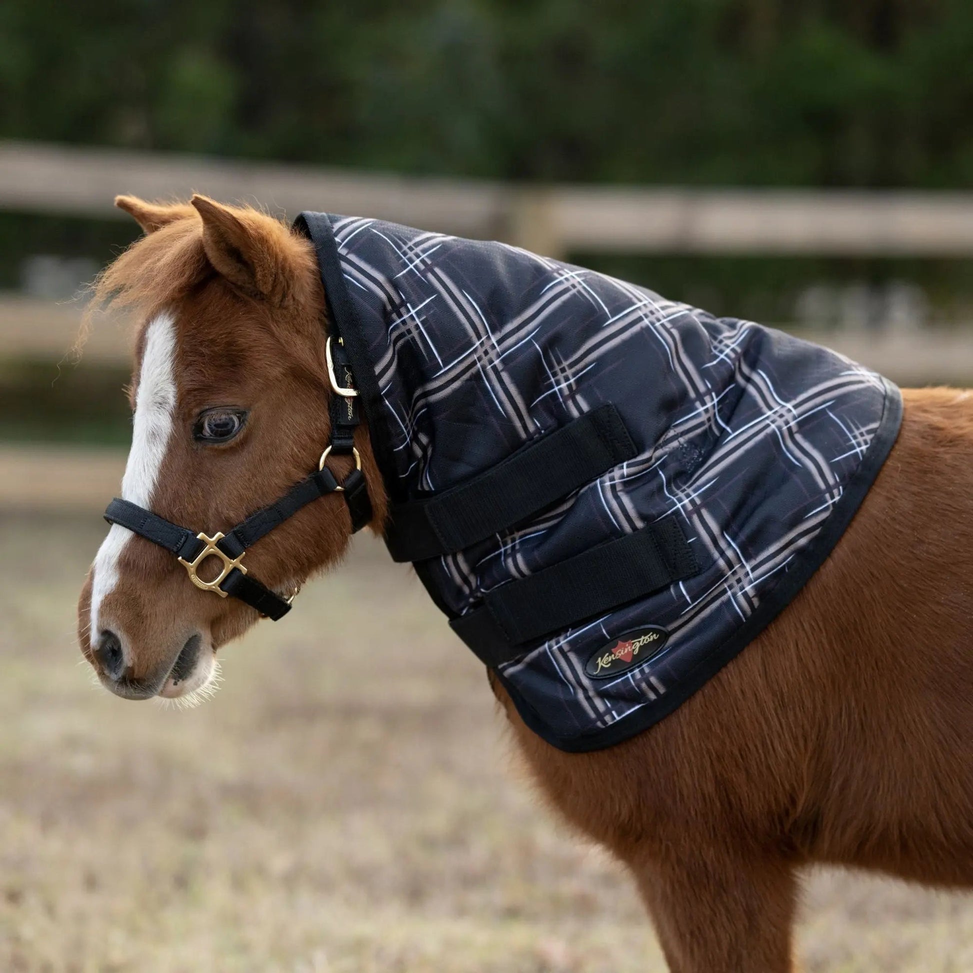 Mini 180G Medium Weight Winter Neck Warmer - Waterproof & Breathable - Riders Choice Supply Co