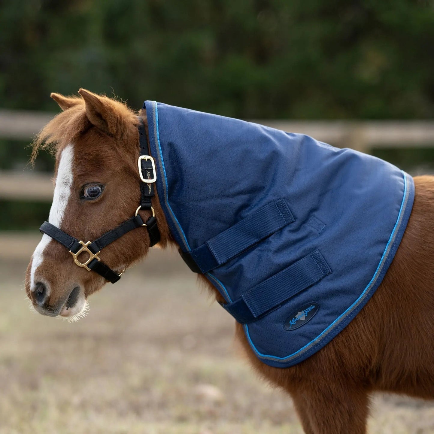 Mini 180G Medium Weight Winter Neck Warmer - Waterproof & Breathable - Riders Choice Supply Co
