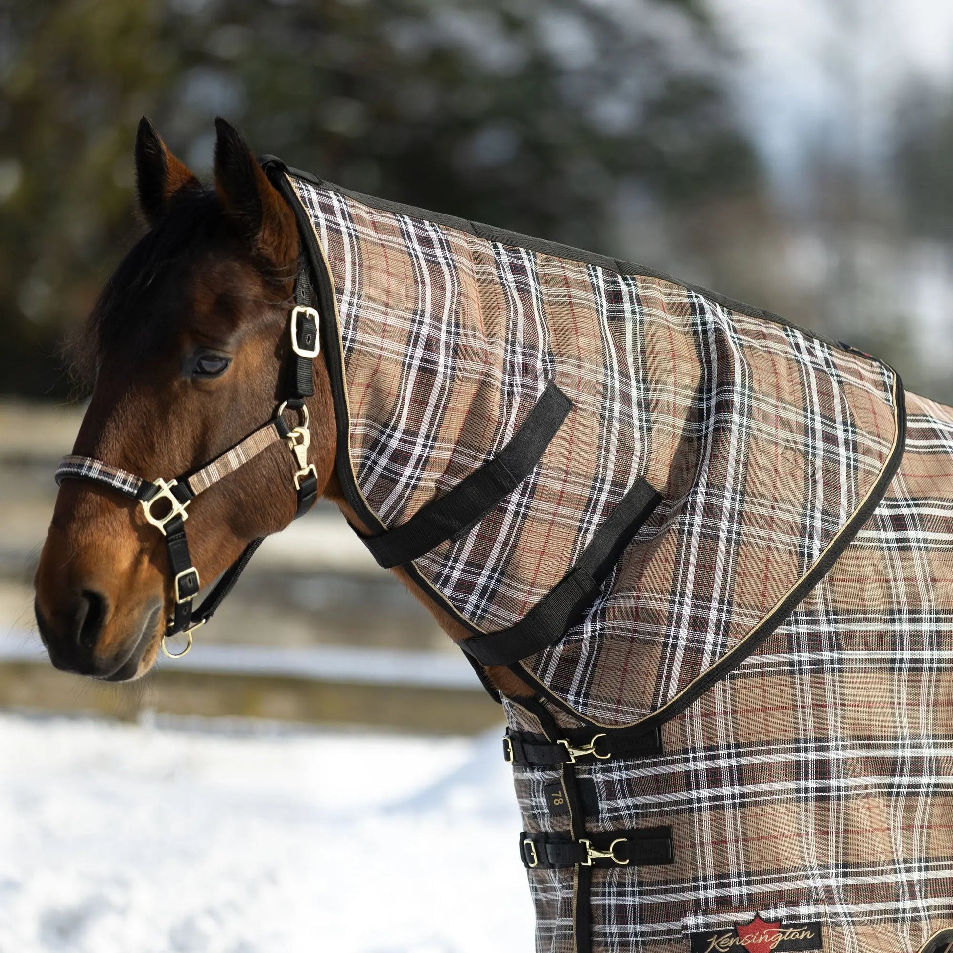 Supermesh® Horse Winter Neck Warmer - Waterproof & Breathable - Supremely Durable Textilene® - Multiple Weights - Riders Choice Supply Co