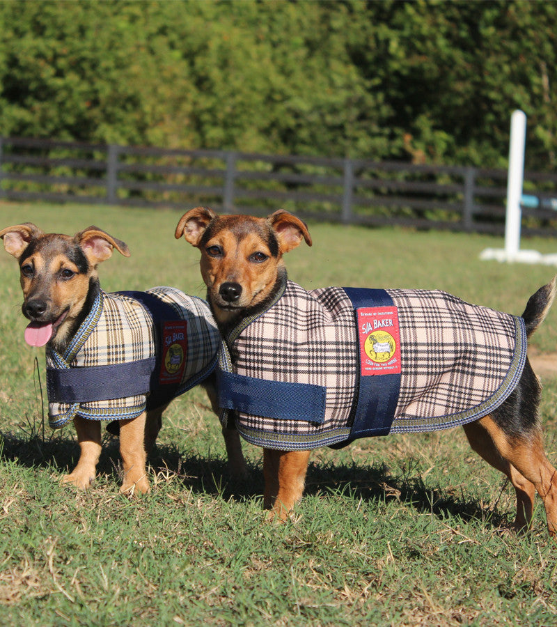 5/A Baker® Dog Blanket - Riders Choice Supply Co