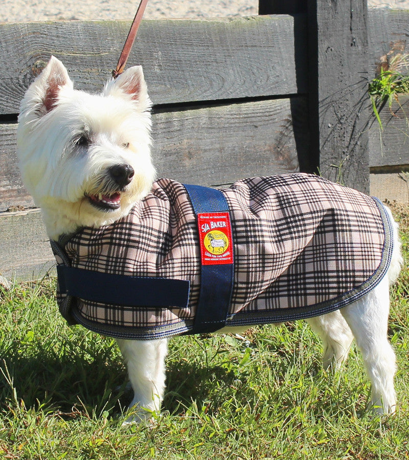 5/A Baker® Dog Blanket - Riders Choice Supply Co