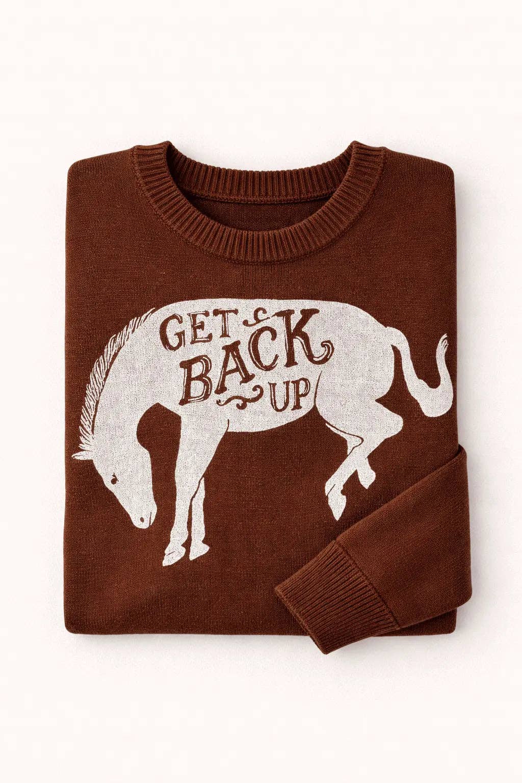 Get Back Up Horse Sweater