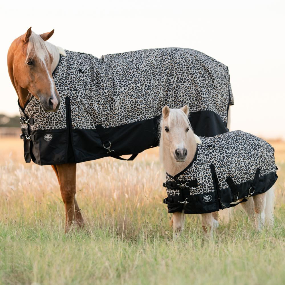 Professional Choice Pony 1200D Cheetah Winter Blanket 58" - Riders Choice Supply Co