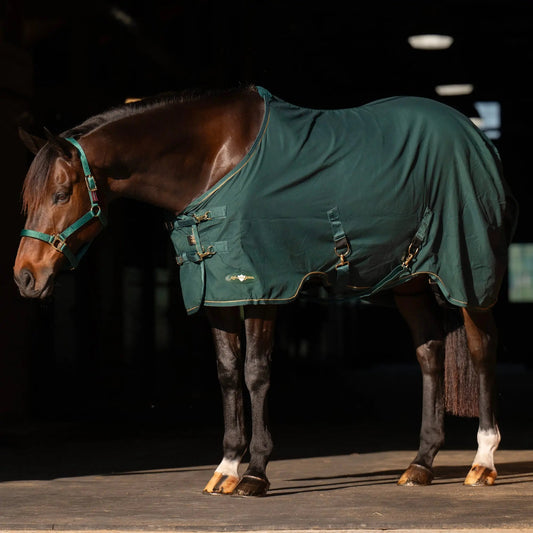 Horse Poly Cotton Day Sheet - Breathable Stable Sheet - Riders Choice Supply Co