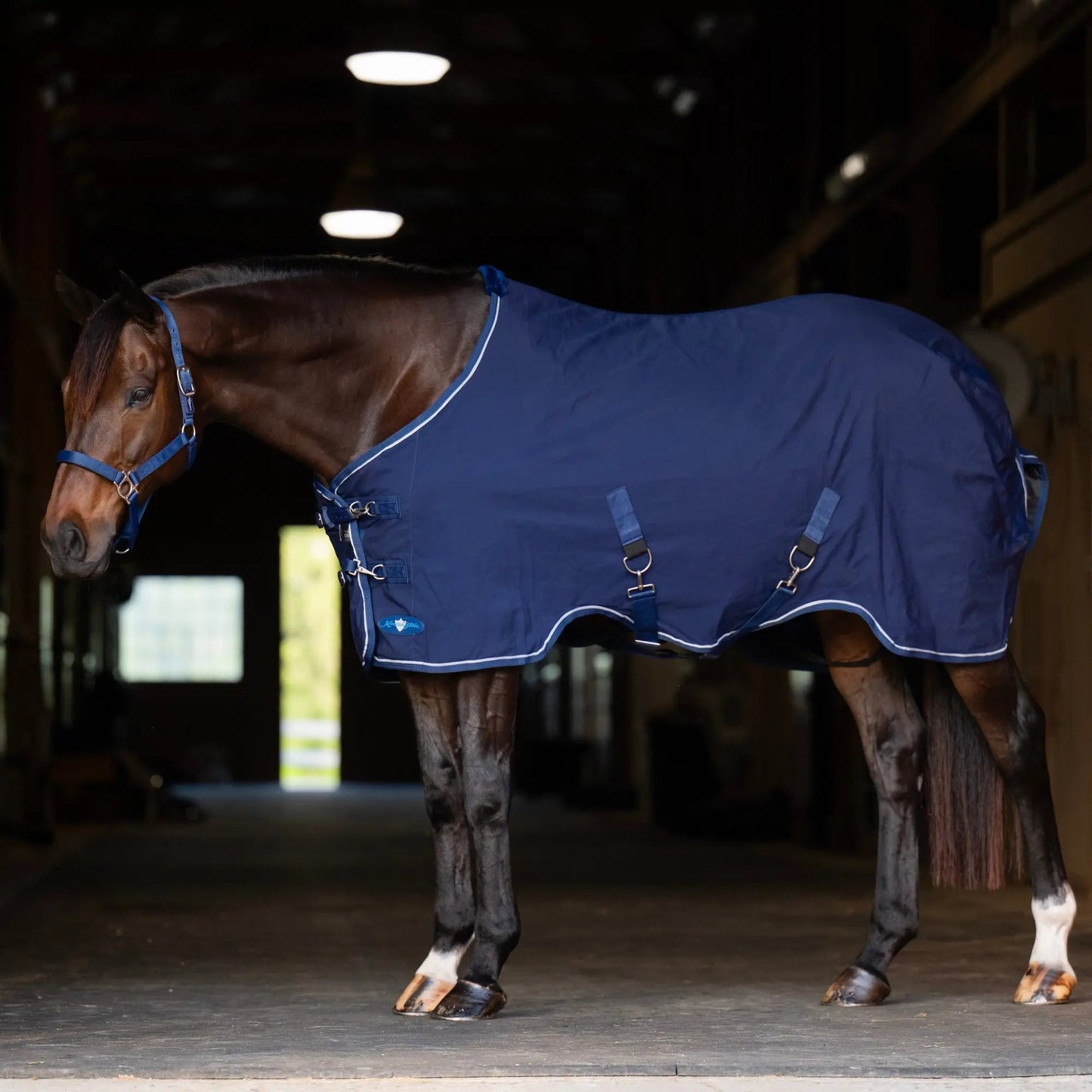 Horse Poly Cotton Day Sheet - Breathable Stable Sheet - Riders Choice Supply Co