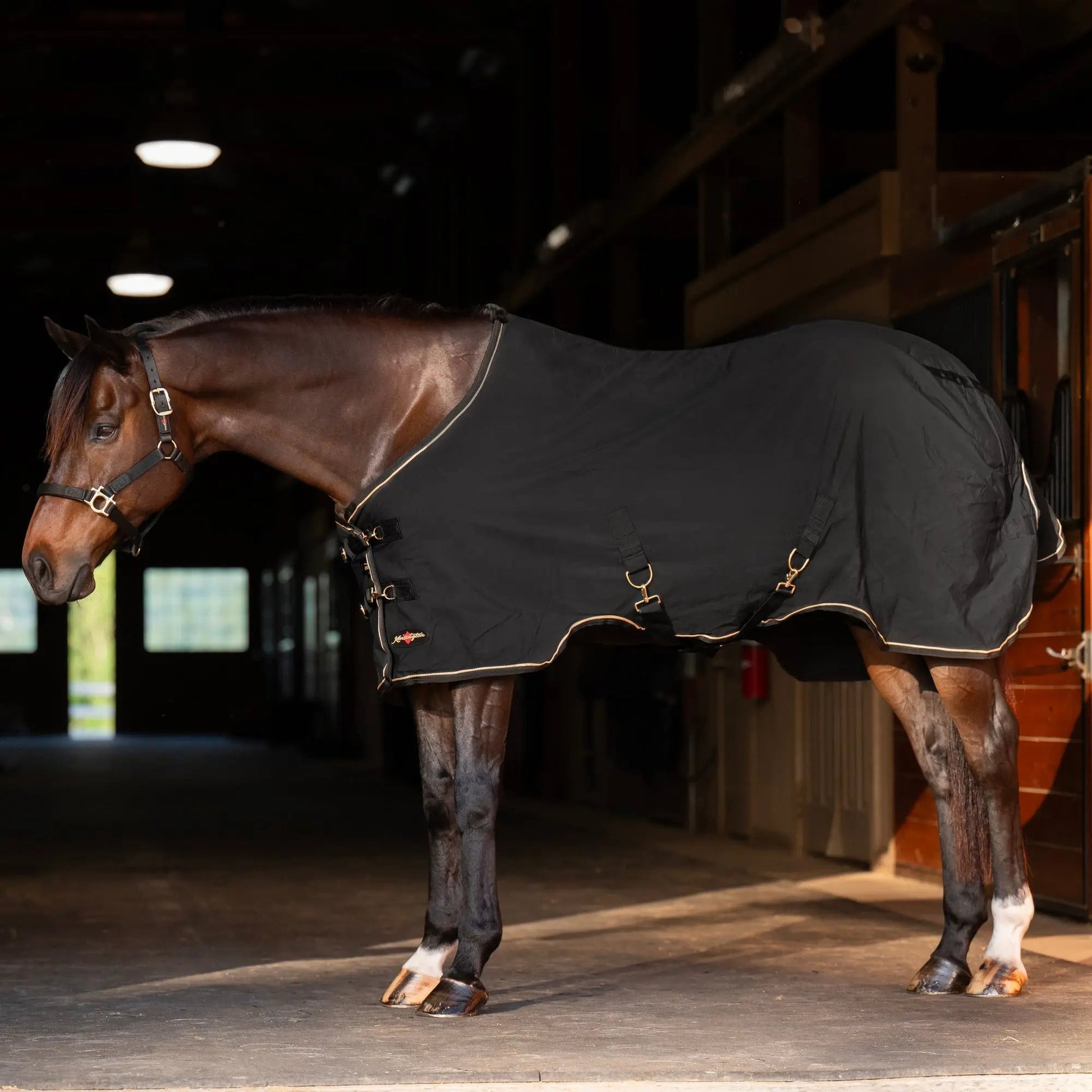 Horse Poly Cotton Day Sheet - Breathable Stable Sheet - Riders Choice Supply Co