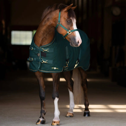 Pony Poly Cotton Day Sheet - Breathable Stable Sheet - Riders Choice Supply Co
