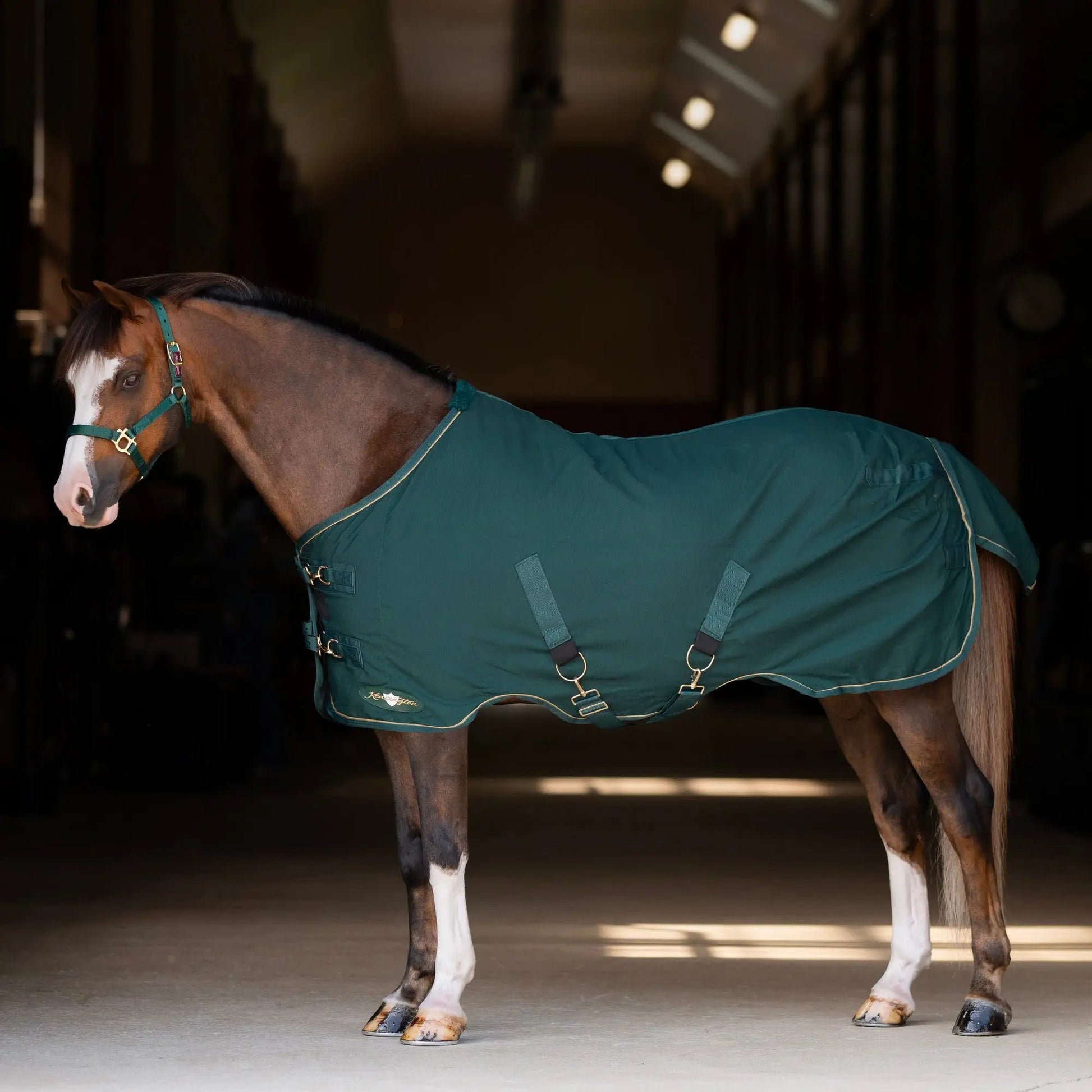 Pony Poly Cotton Day Sheet - Breathable Stable Sheet - Riders Choice Supply Co