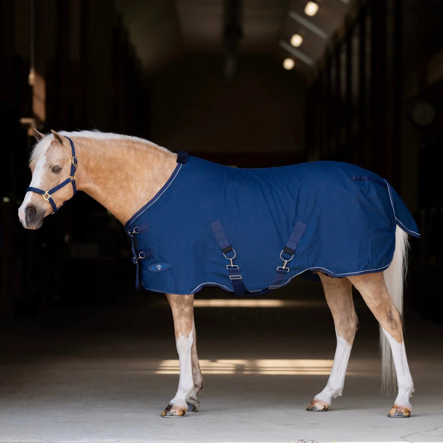 Pony Poly Cotton Day Sheet - Breathable Stable Sheet - Riders Choice Supply Co