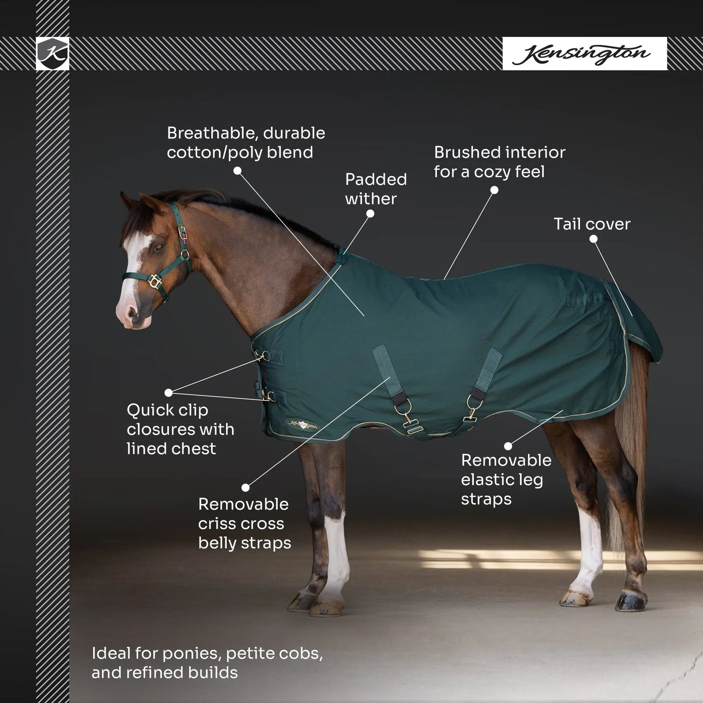 Pony Poly Cotton Day Sheet - Breathable Stable Sheet - Riders Choice Supply Co