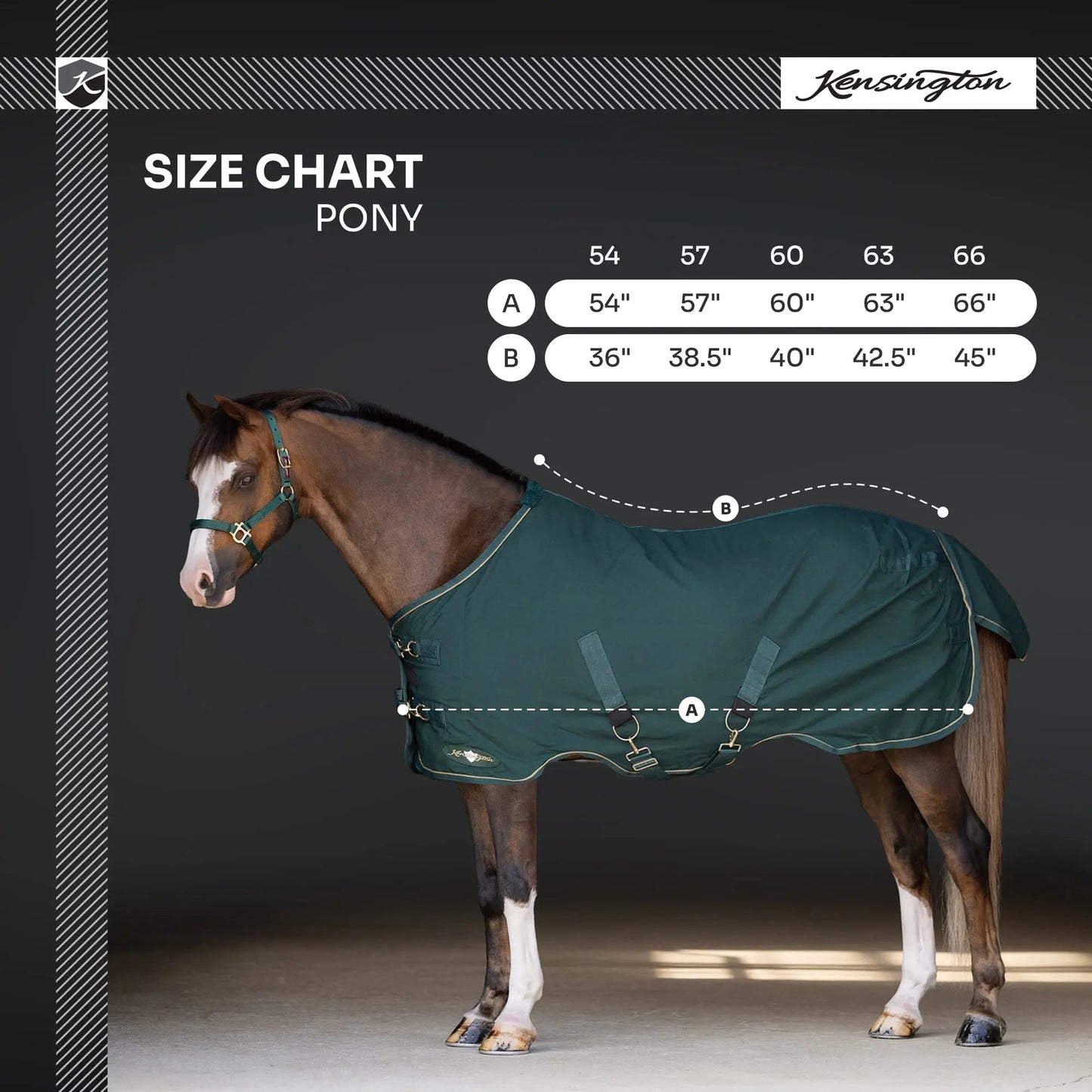 Pony Poly Cotton Day Sheet - Breathable Stable Sheet - Riders Choice Supply Co