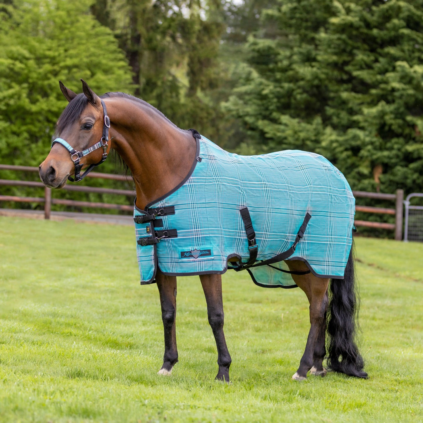 Horse Protective Fly Sheet  - 73% UV Protection - Riders Choice Supply Co