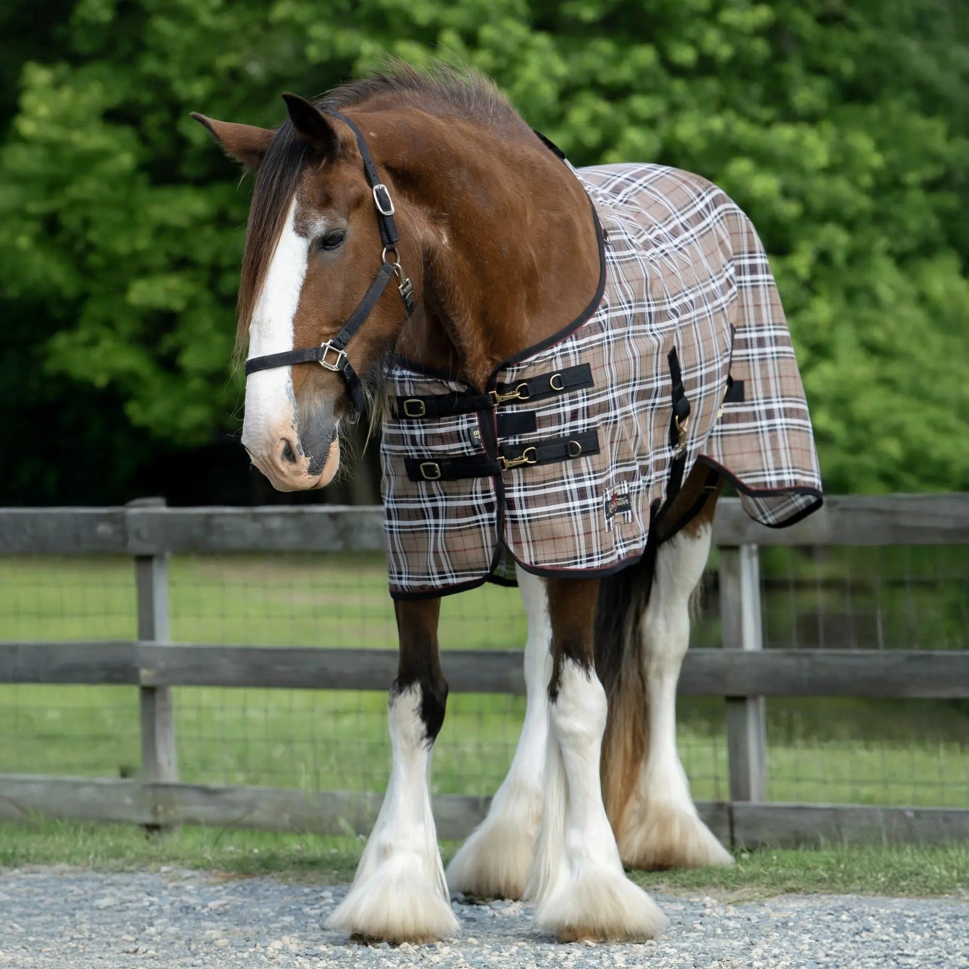 Draft Horse Protective Fly Sheet  - 73% UV Protection - Riders Choice Supply Co