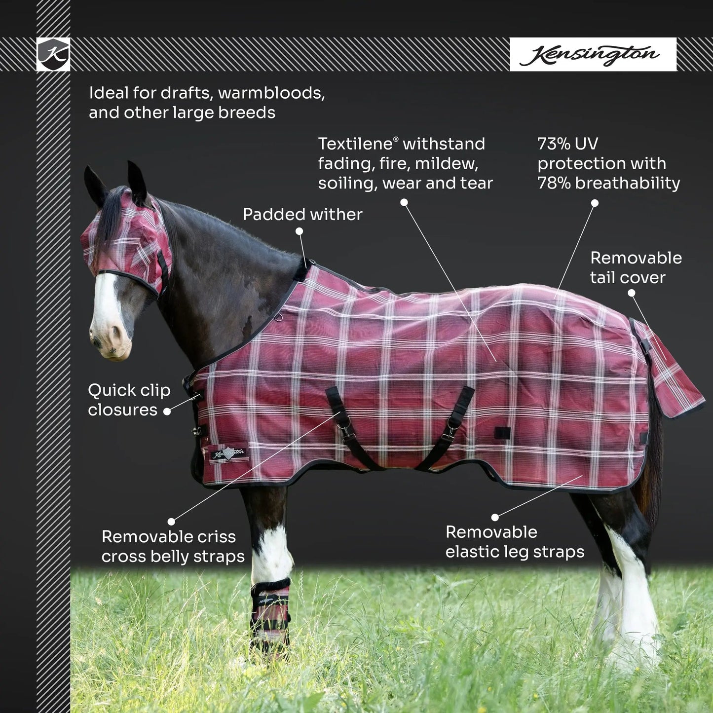 Draft Horse Protective Fly Sheet  - 73% UV Protection - Riders Choice Supply Co