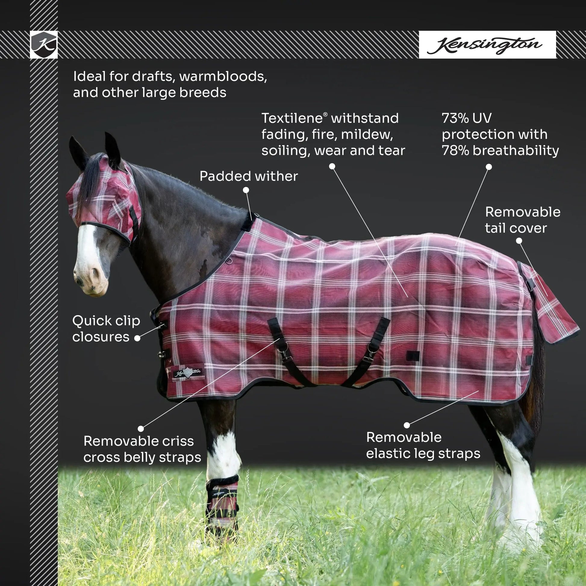 Draft Horse Protective Fly Sheet  - 73% UV Protection - Riders Choice Supply Co