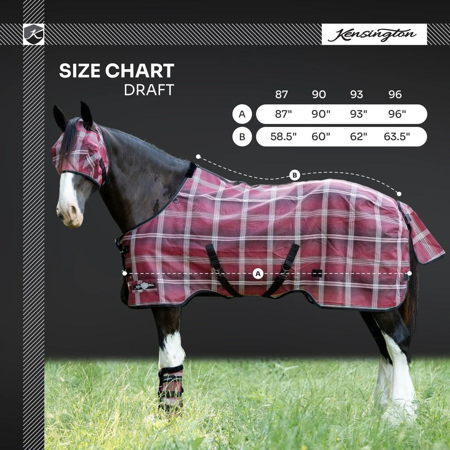 Draft Horse Protective Fly Sheet  - 73% UV Protection - Riders Choice Supply Co