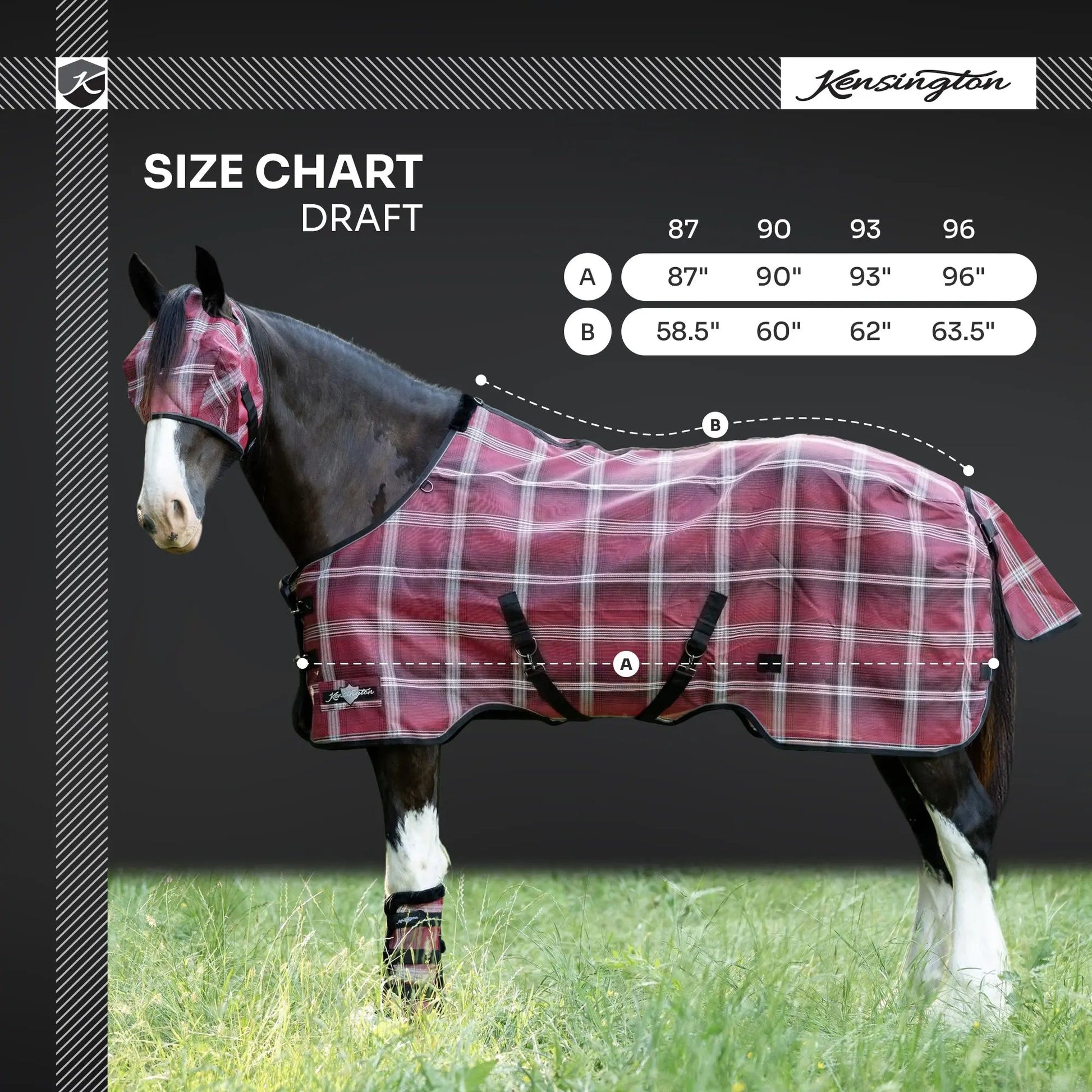 Draft Horse Protective Fly Sheet  - 73% UV Protection - Riders Choice Supply Co