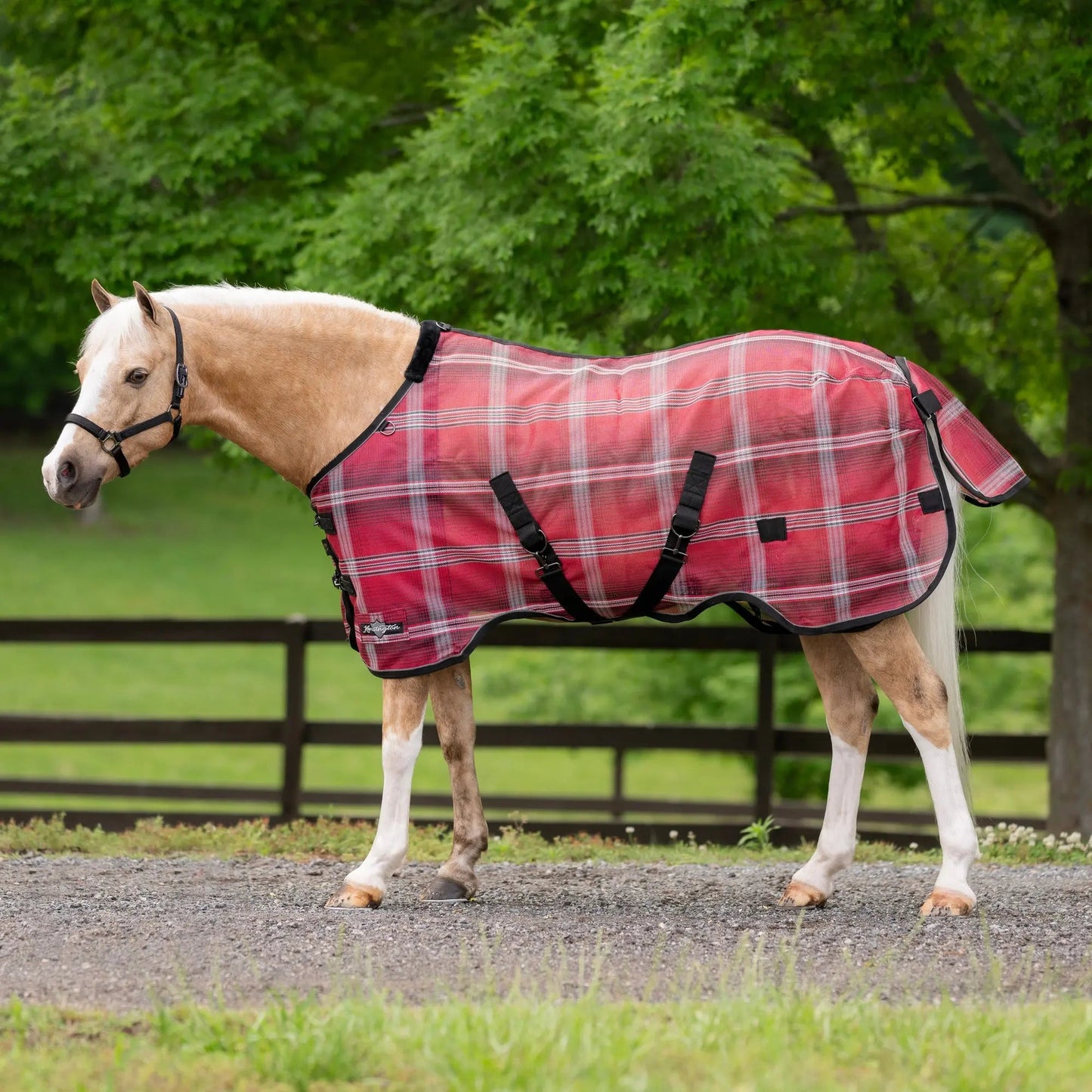 Pony Protective Fly Sheet - 73% UV Protection - Riders Choice Supply Co