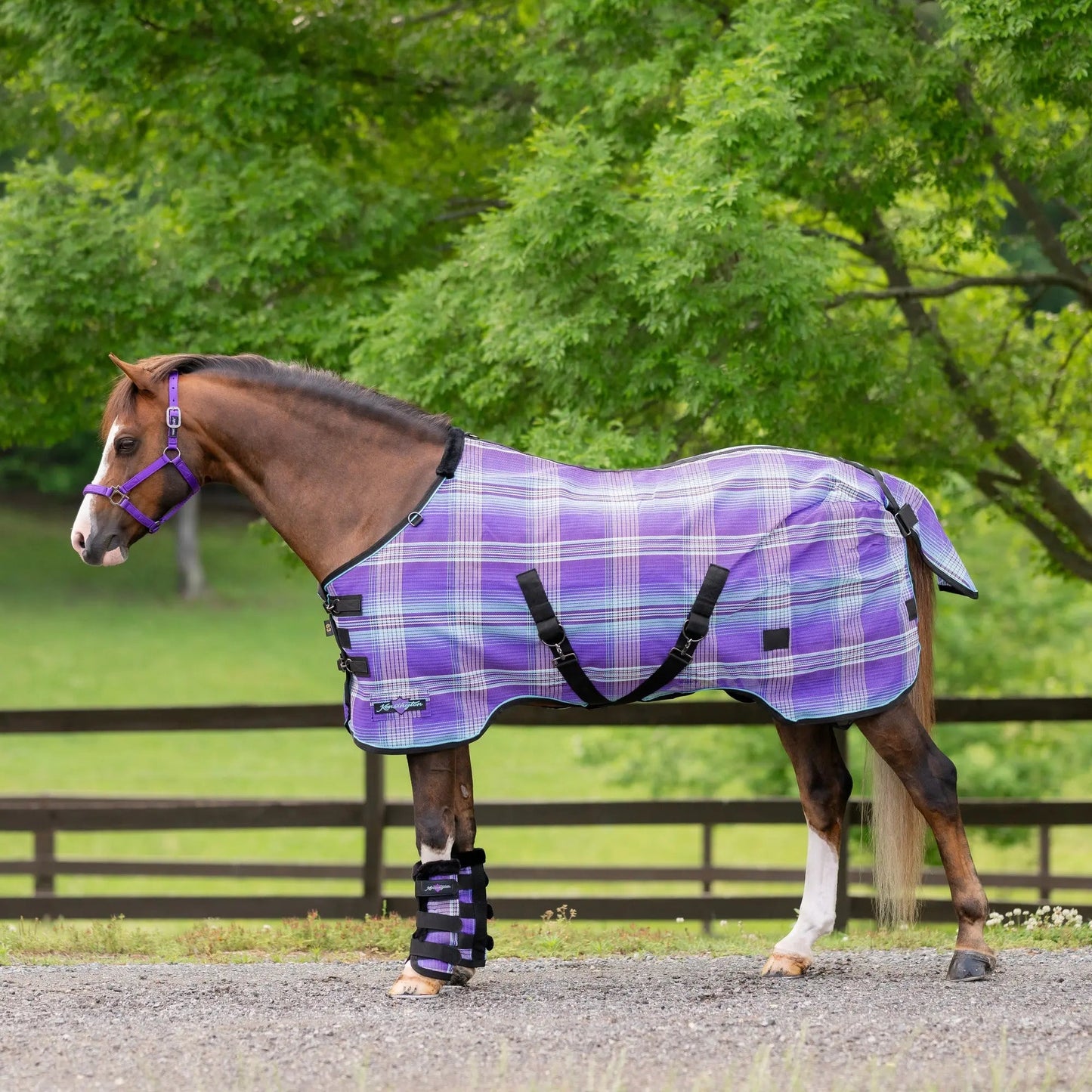 Pony Protective Fly Sheet - 73% UV Protection - Riders Choice Supply Co
