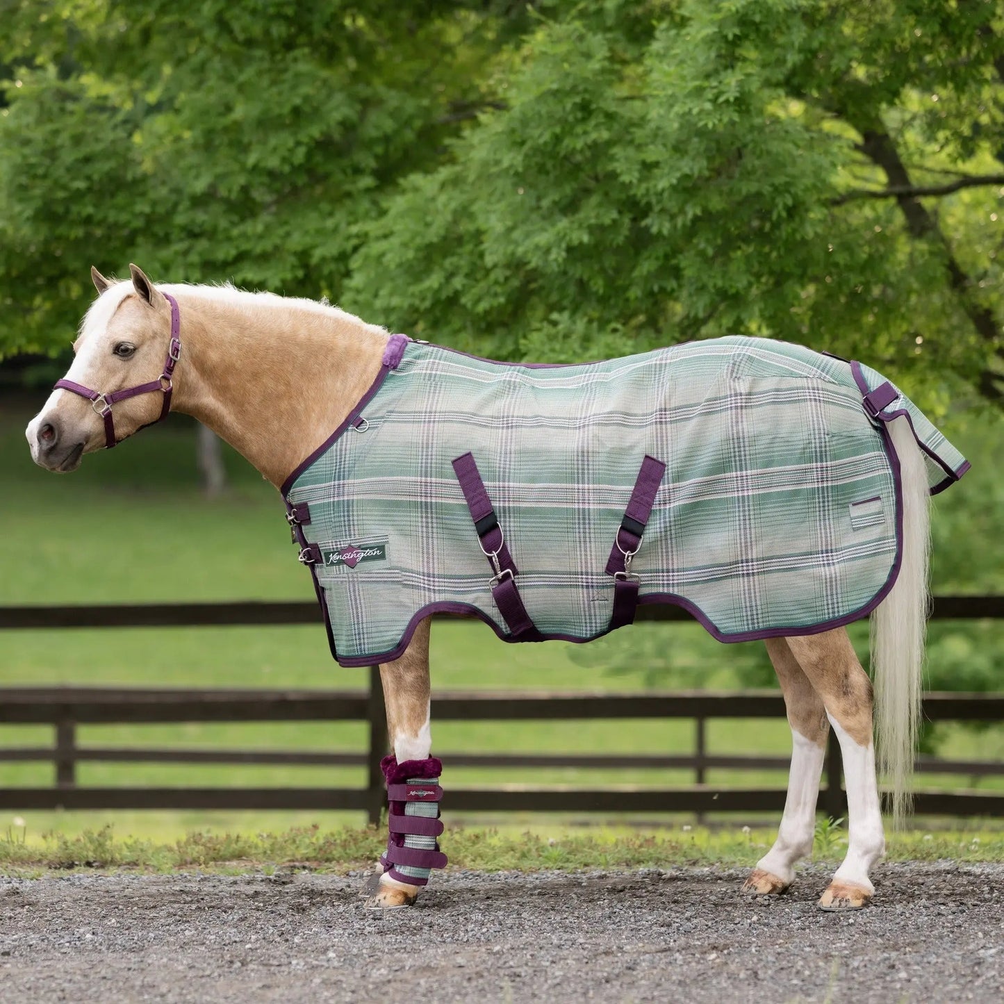 Pony Protective Fly Sheet - 73% UV Protection - Riders Choice Supply Co