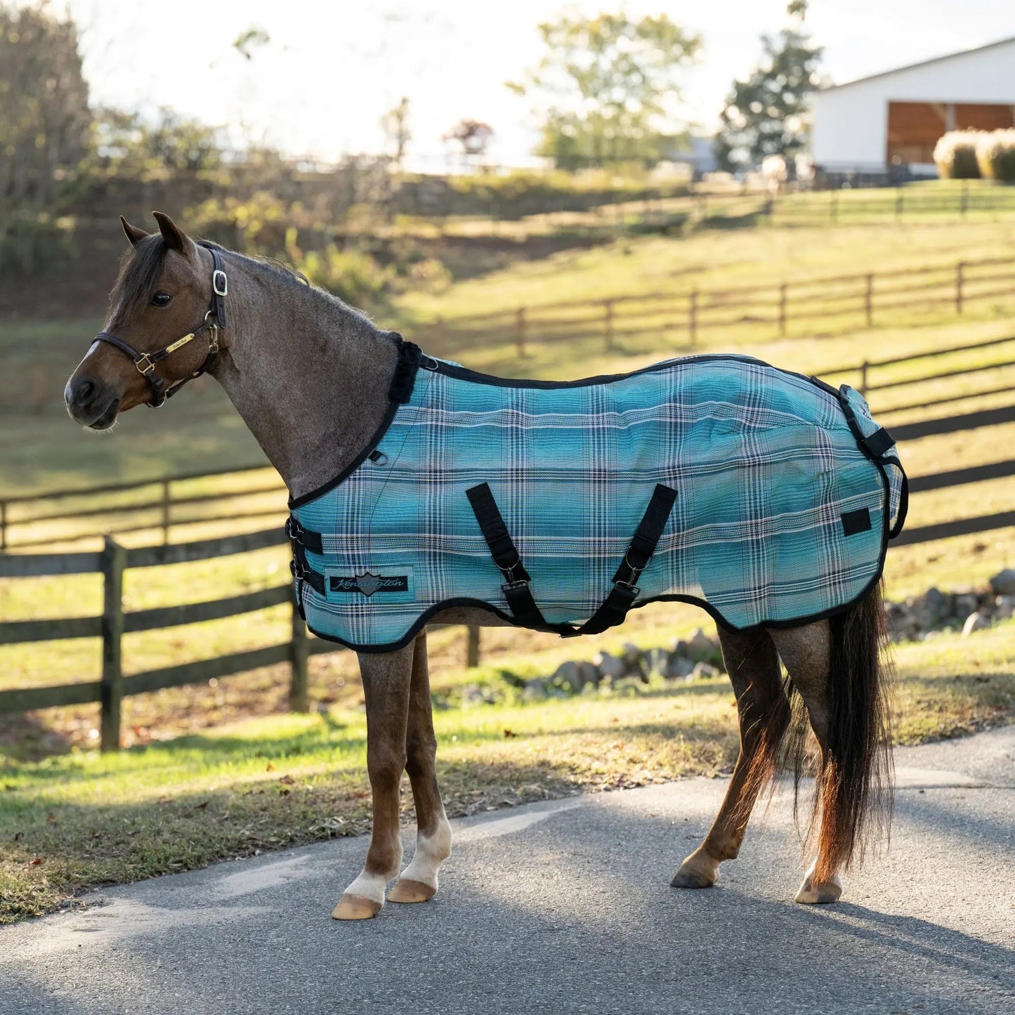 Pony Protective Fly Sheet - 73% UV Protection - Riders Choice Supply Co