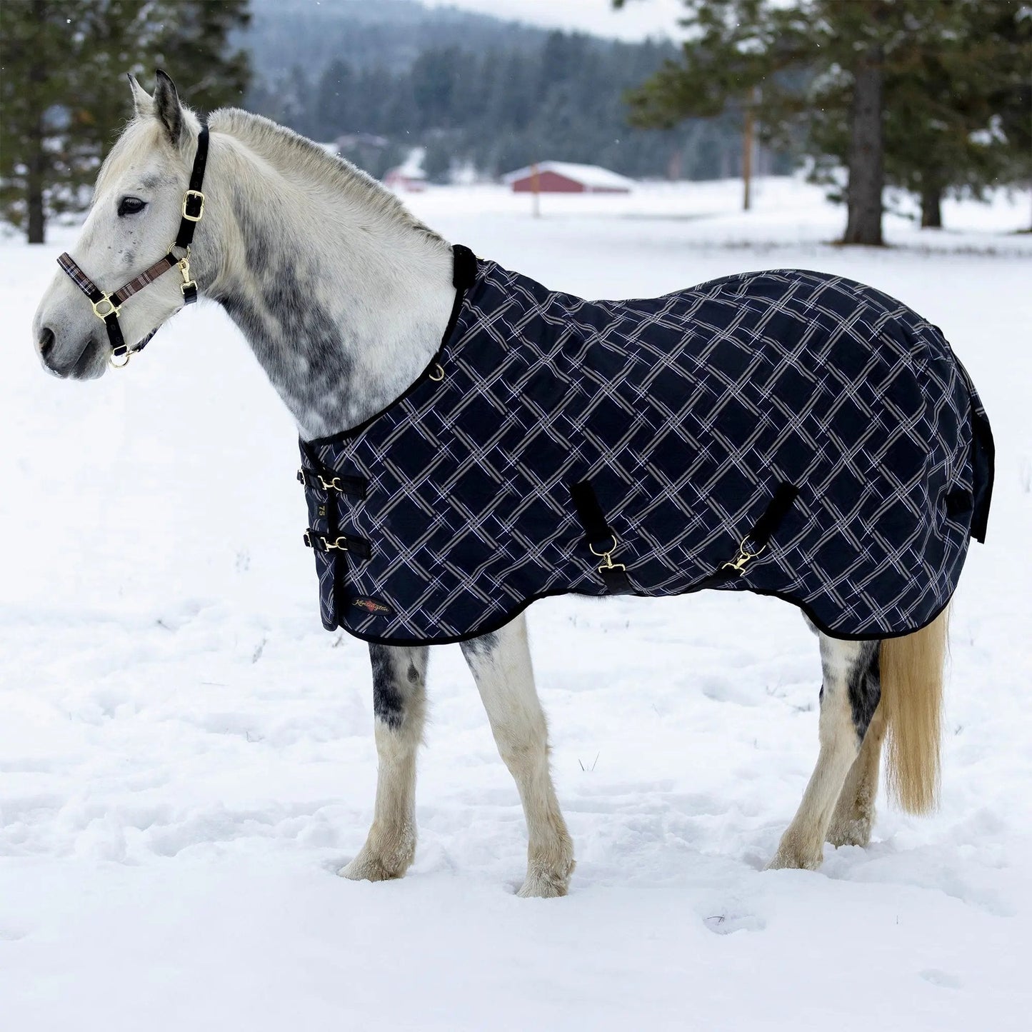 1200D Midweight 180g Horse Winter Turnout Blanket - Waterproof & Breathable - Riders Choice Supply Co