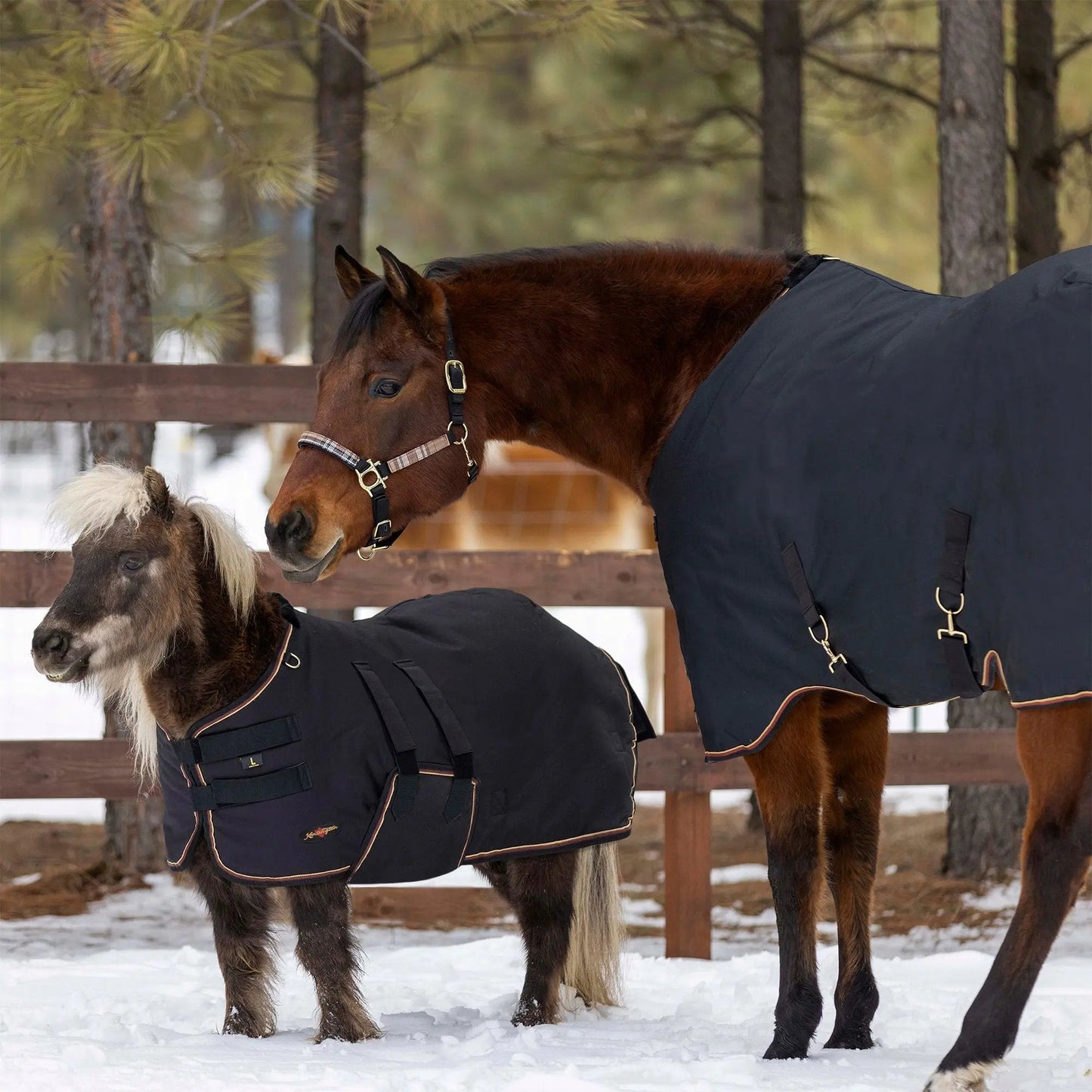 Mini 180G Medium Weight Horse Winter Turnout Blanket - Waterproof & Breathable - Riders Choice Supply Co