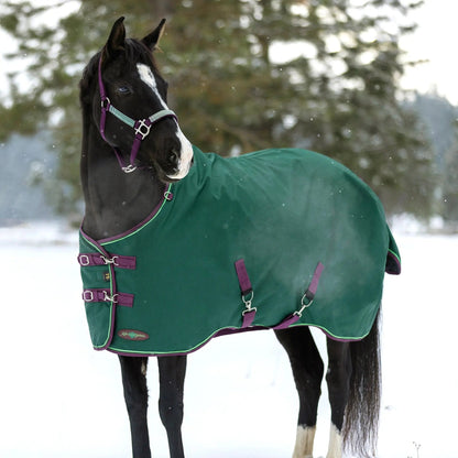 1200D Midweight 180g Horse Winter Turnout Blanket - Waterproof & Breathable - Riders Choice Supply Co