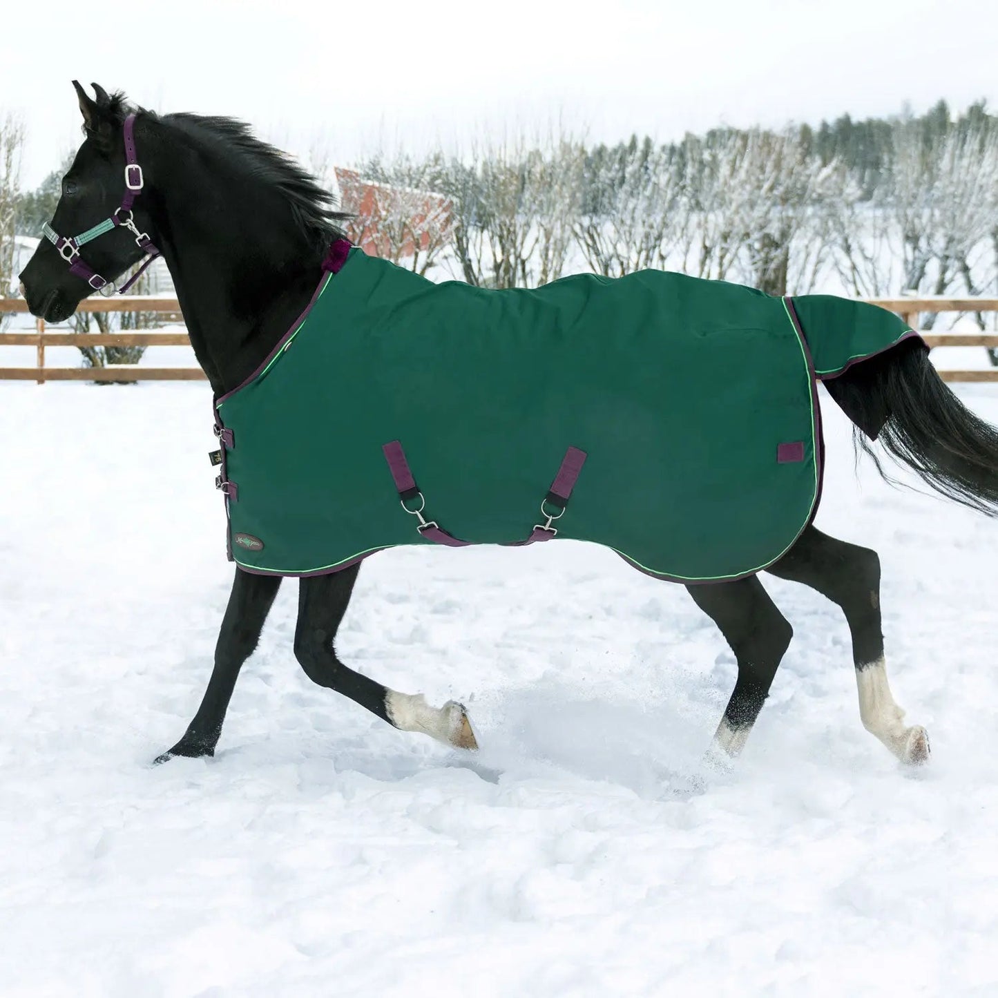 1200D Heavyweight 300g Horse Winter Turnout Blanket - Waterproof & Breathable - Riders Choice Supply Co