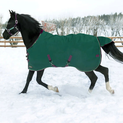 1200D Heavyweight 300g Horse Winter Turnout Blanket - Waterproof & Breathable - Riders Choice Supply Co