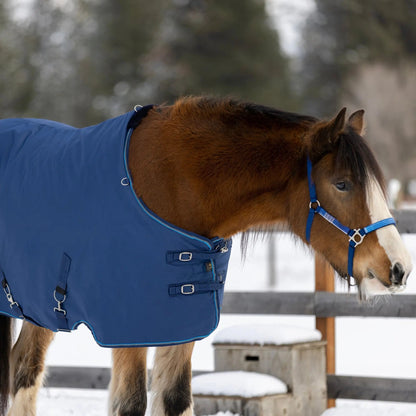 Draft Horse Midweight 180g Winter Turnout Blanket - Waterproof & Breathable - Riders Choice Supply Co