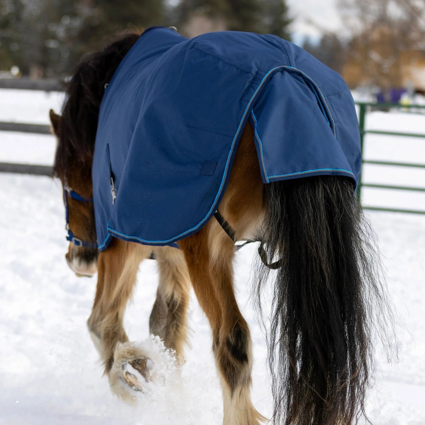 Draft Horse Midweight 180g Winter Turnout Blanket - Waterproof & Breathable - Riders Choice Supply Co