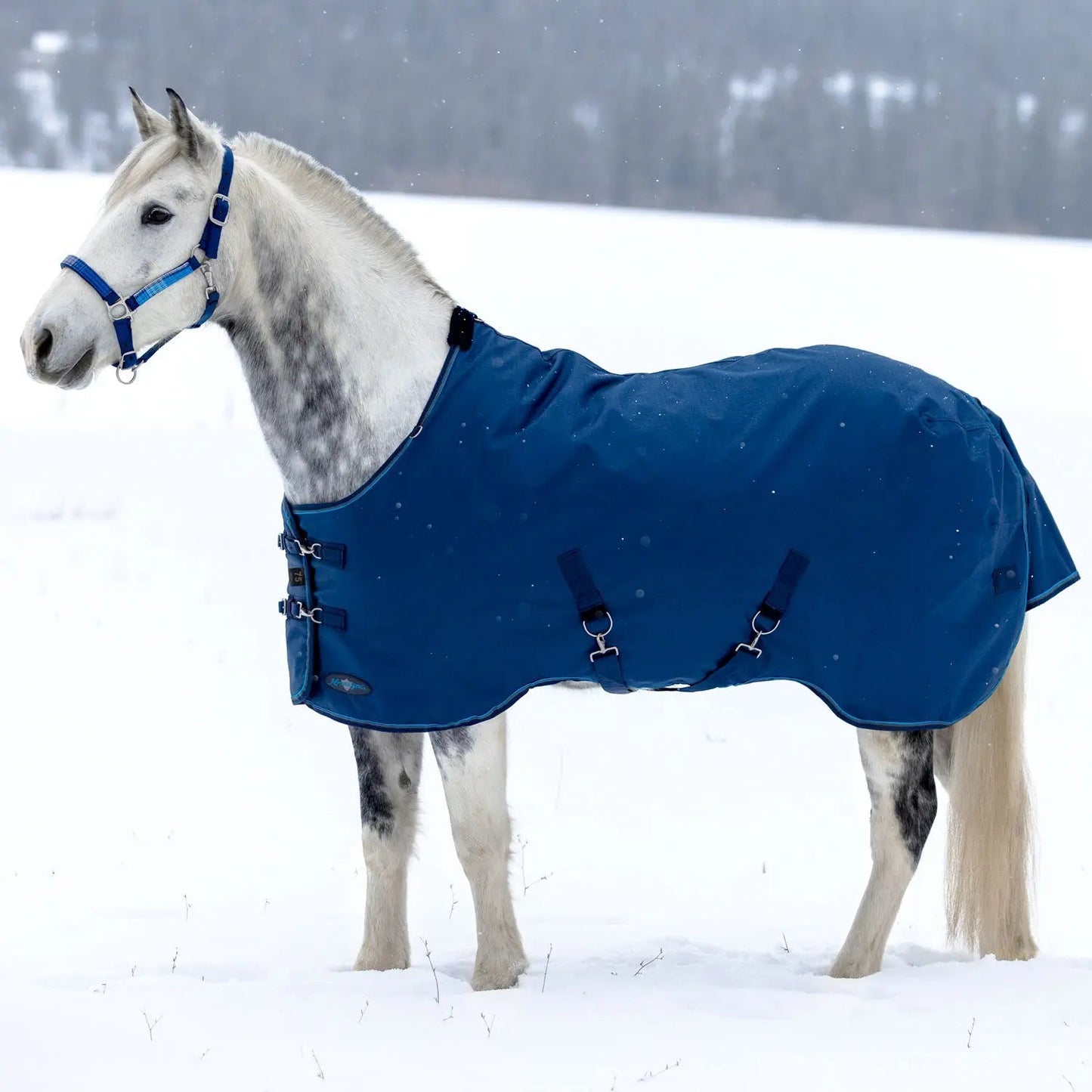 1200D Midweight 180g Horse Winter Turnout Blanket - Waterproof & Breathable - Riders Choice Supply Co