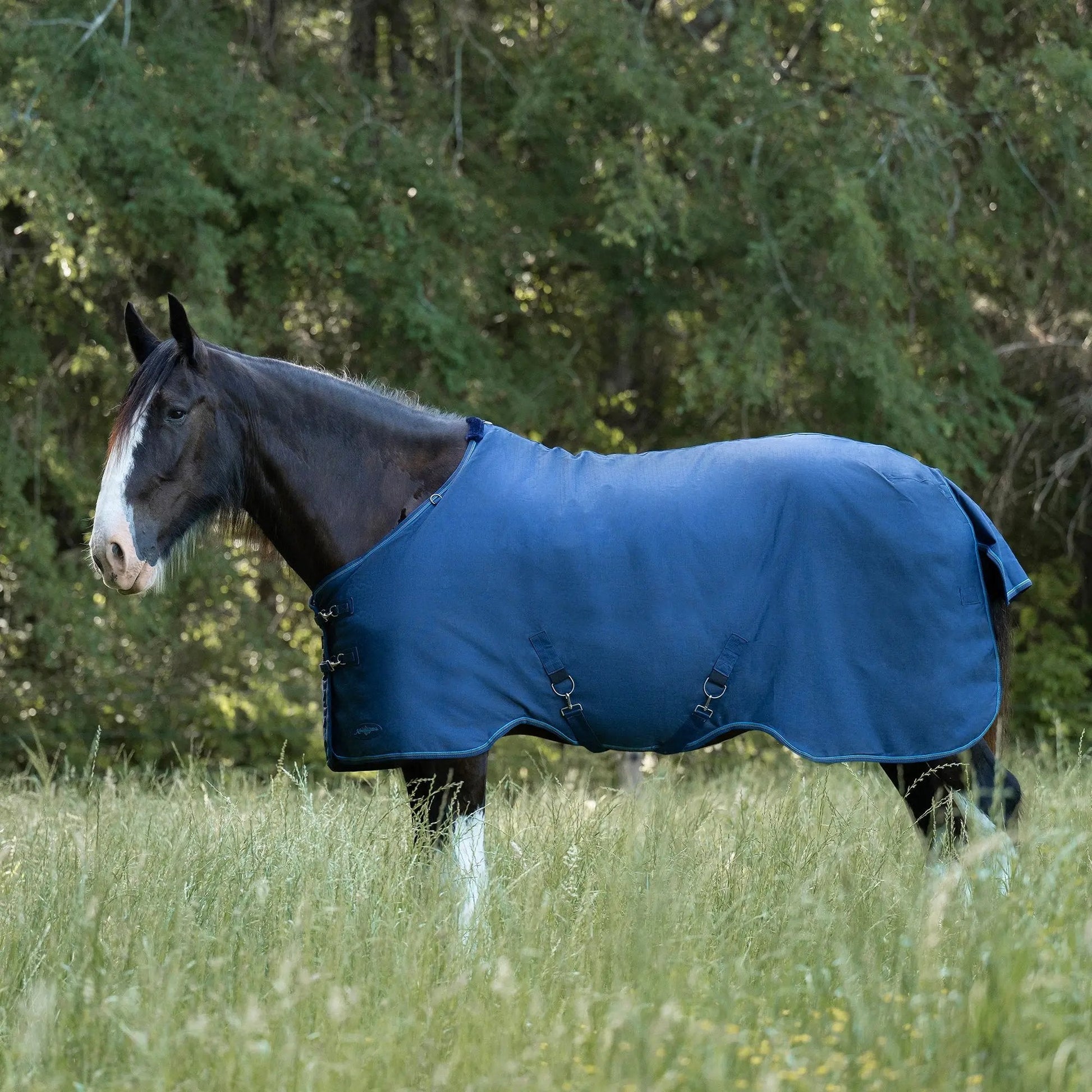 Draft Horse Lightweight 80g Winter Turnout Blanket - Waterproof & Breathable - Riders Choice Supply Co
