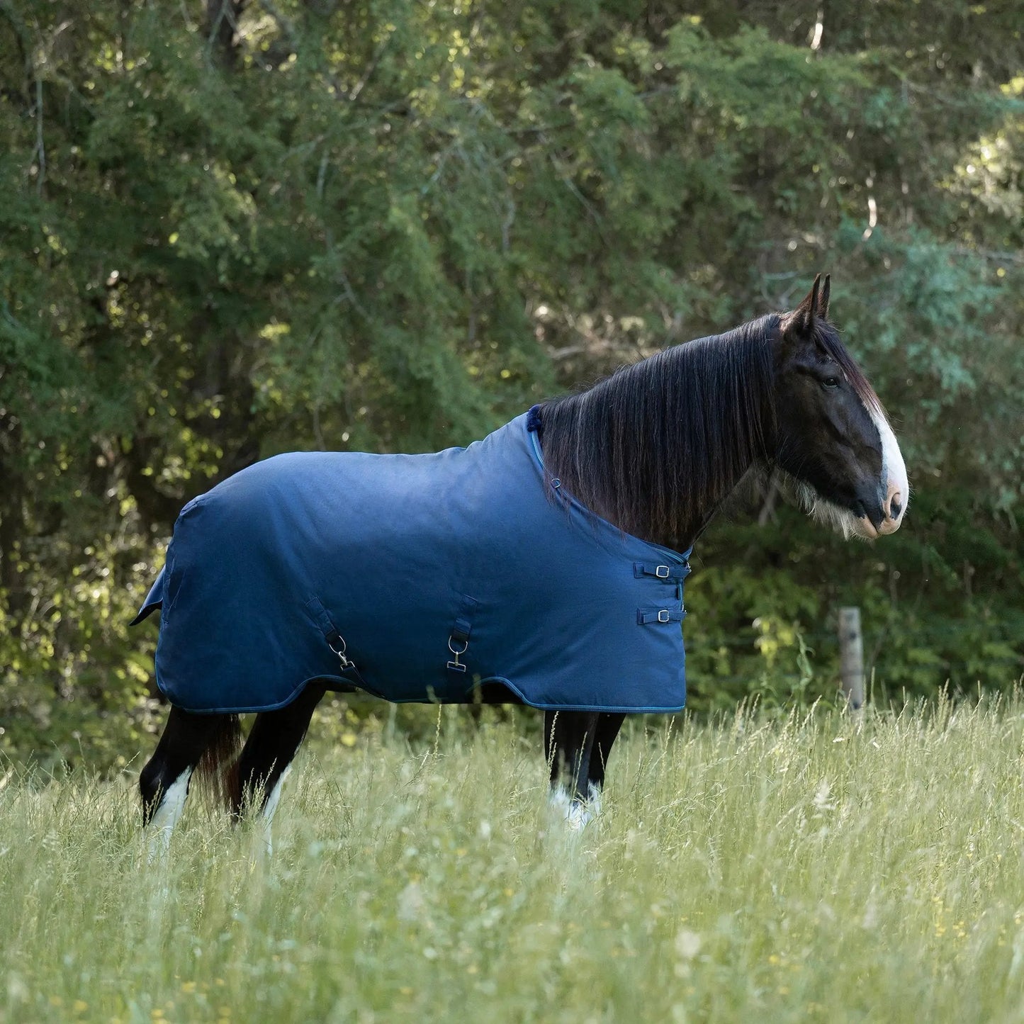 Draft Horse Midweight 180g Winter Turnout Blanket - Waterproof & Breathable - Riders Choice Supply Co