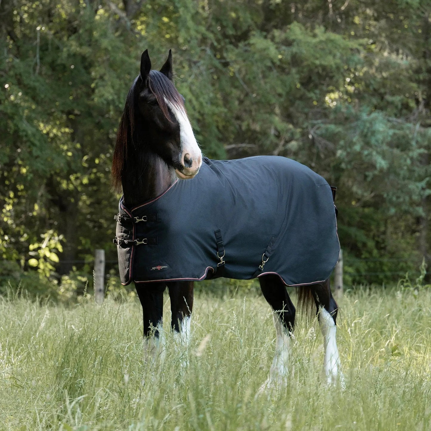 Draft Horse Lightweight 80g Winter Turnout Blanket - Waterproof & Breathable - Riders Choice Supply Co