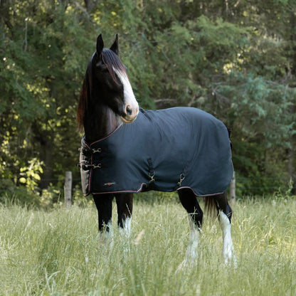 Draft Horse Lightweight 80g Winter Turnout Blanket - Waterproof & Breathable - Riders Choice Supply Co