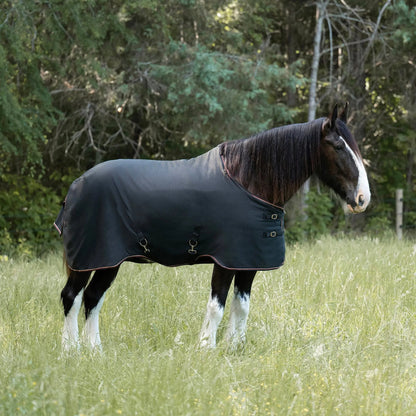 Draft Horse Midweight 180g Winter Turnout Blanket - Waterproof & Breathable - Riders Choice Supply Co