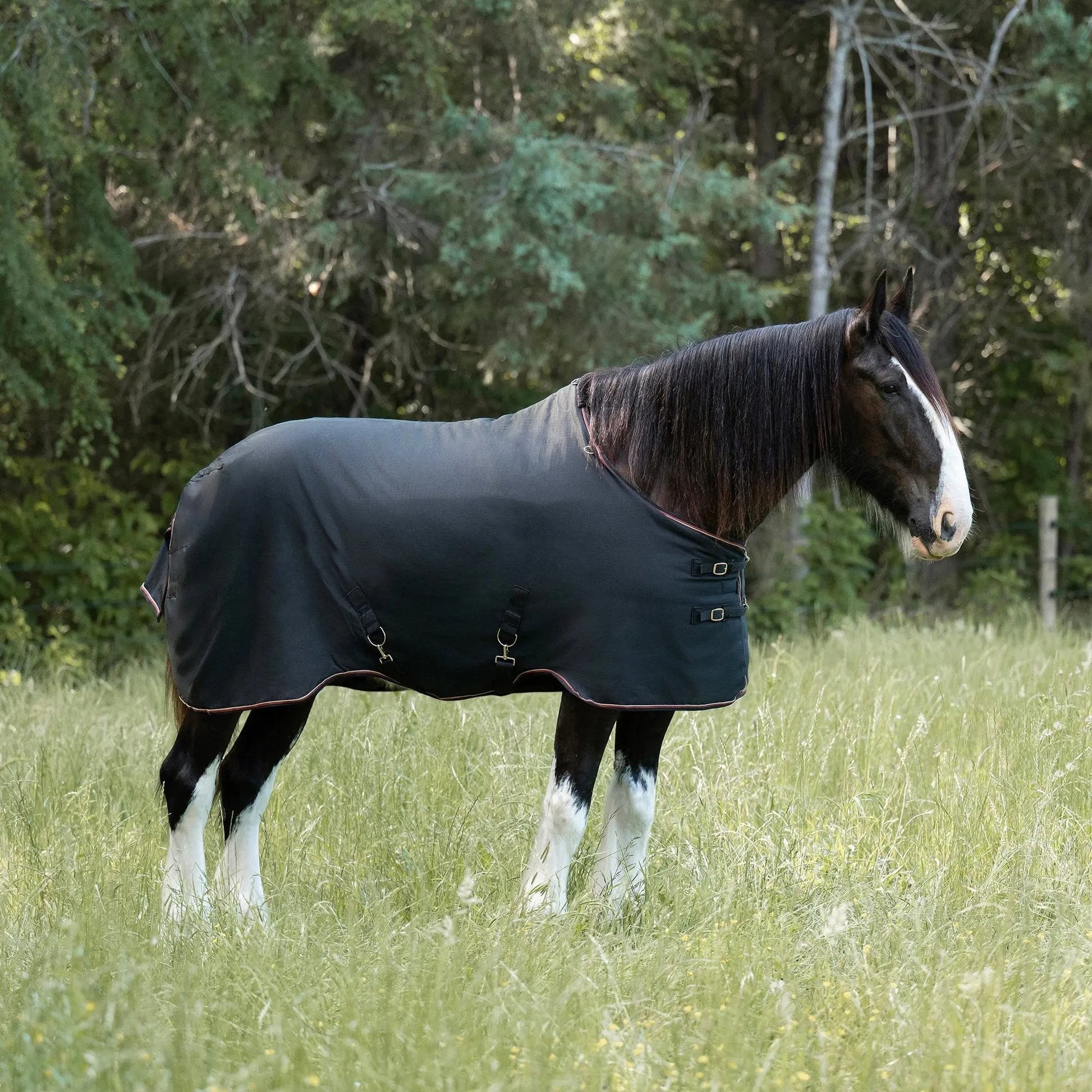 Draft Horse Lightweight 80g Winter Turnout Blanket - Waterproof & Breathable - Riders Choice Supply Co