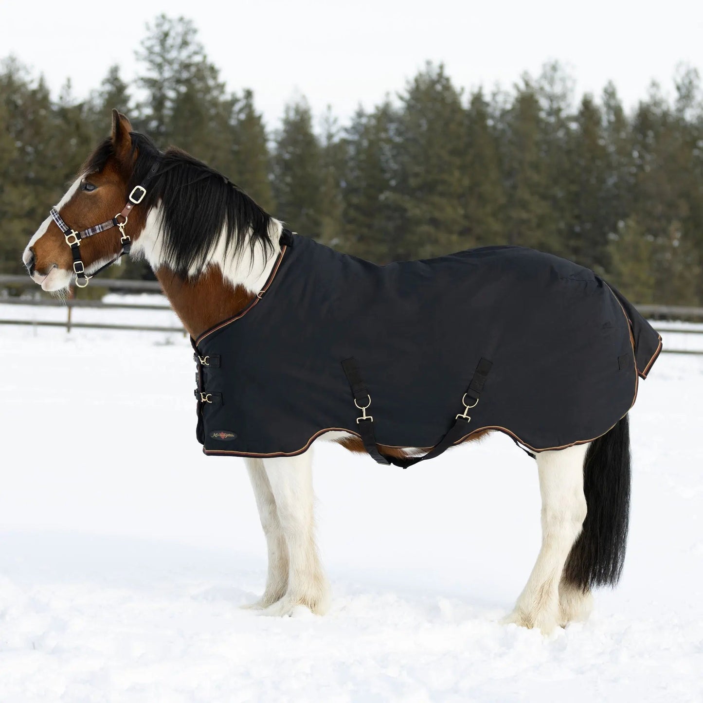 Draft Horse Midweight 180g Winter Turnout Blanket - Waterproof & Breathable - Riders Choice Supply Co