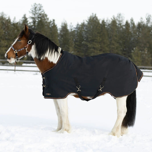 Draft Horse Midweight 180g Winter Turnout Blanket - Waterproof & Breathable - Riders Choice Supply Co