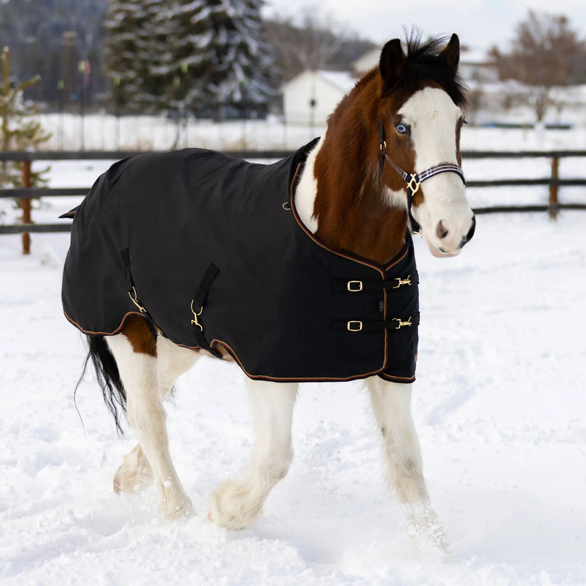 Draft Horse Heavyweight 300g Winter Turnout Blanket - Waterproof & Breathable - Riders Choice Supply Co