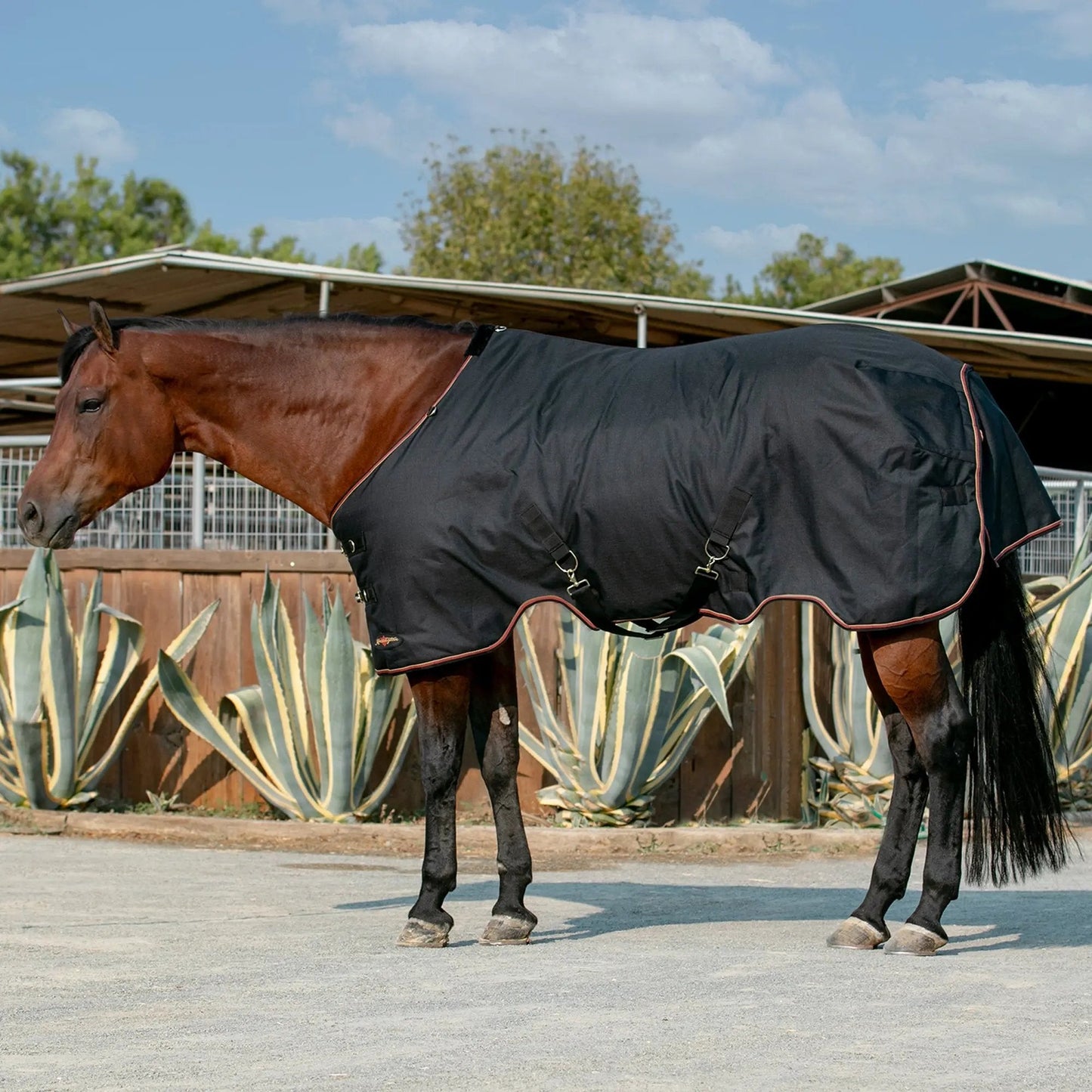 1200D Heavyweight 300g Horse Winter Turnout Blanket - Waterproof & Breathable - Riders Choice Supply Co