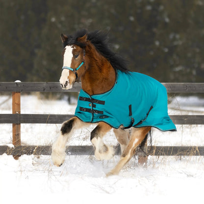 1200D Heavyweight 300g Horse Winter Turnout Blanket - Waterproof & Breathable - Riders Choice Supply Co