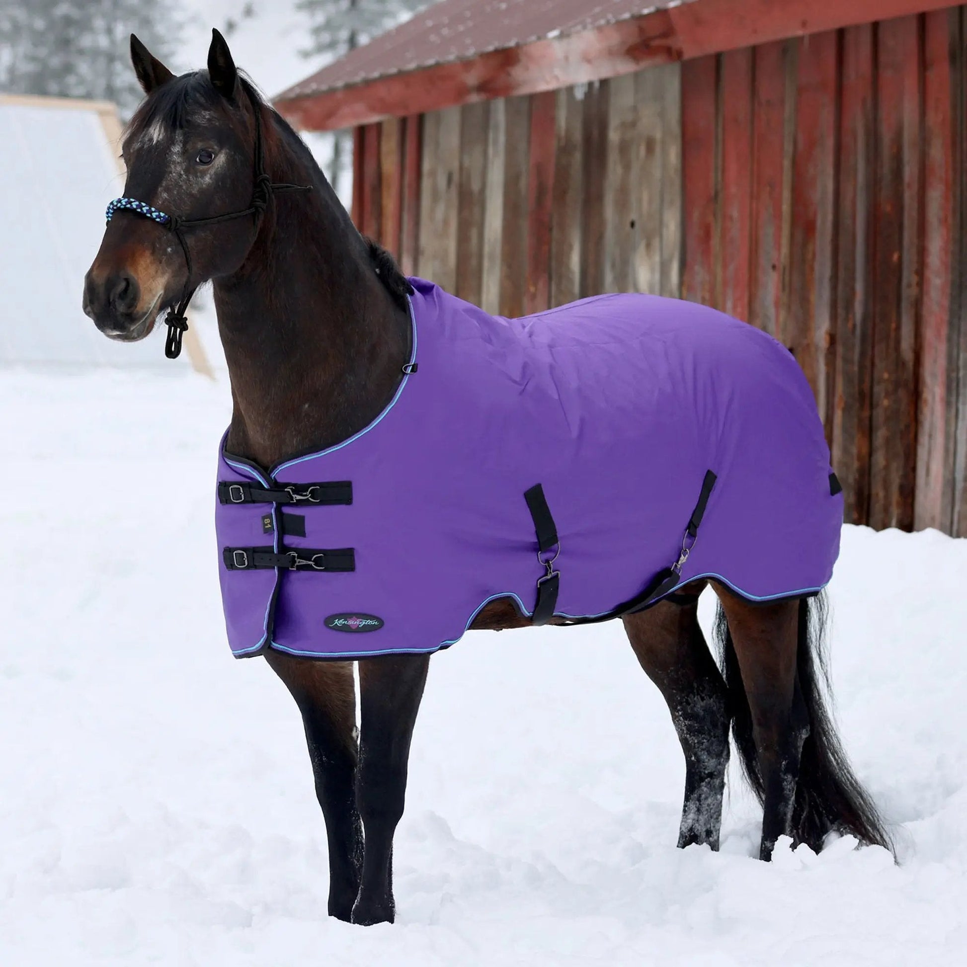 1200D Midweight 180g Horse Winter Turnout Blanket - Waterproof & Breathable - Riders Choice Supply Co