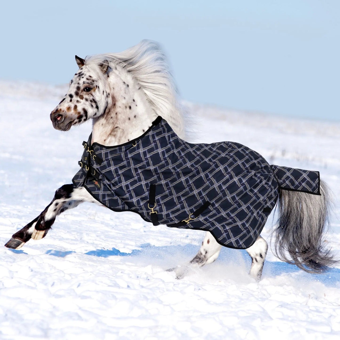 Pony Heavyweight 300g Horse Winter Turnout Blanket - Waterproof & Breathable - Riders Choice Supply Co