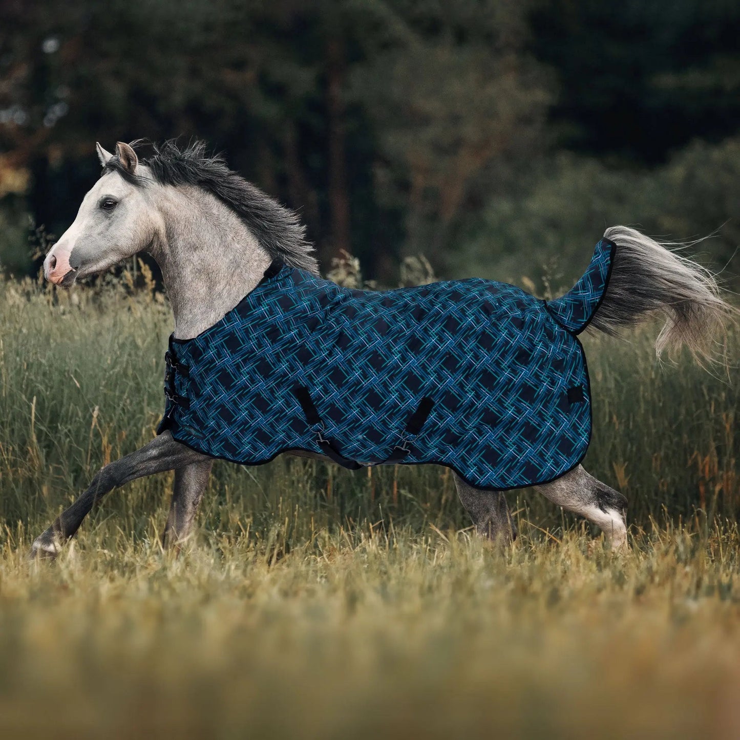 Pony Heavyweight 300g Horse Winter Turnout Blanket - Waterproof & Breathable - Riders Choice Supply Co