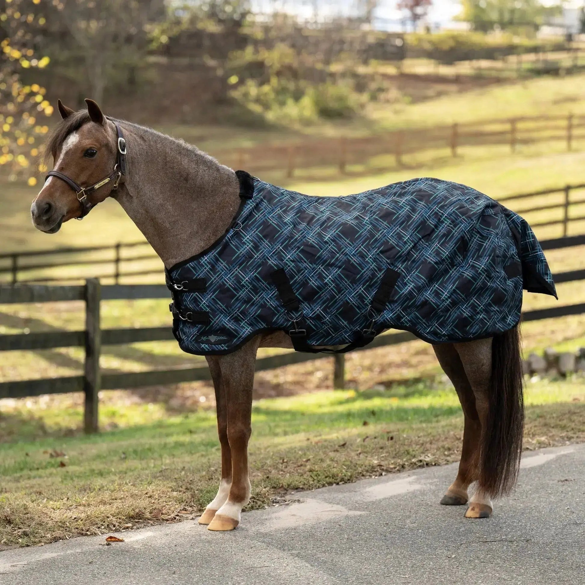Pony Heavyweight 300g Horse Winter Turnout Blanket - Waterproof & Breathable - Riders Choice Supply Co