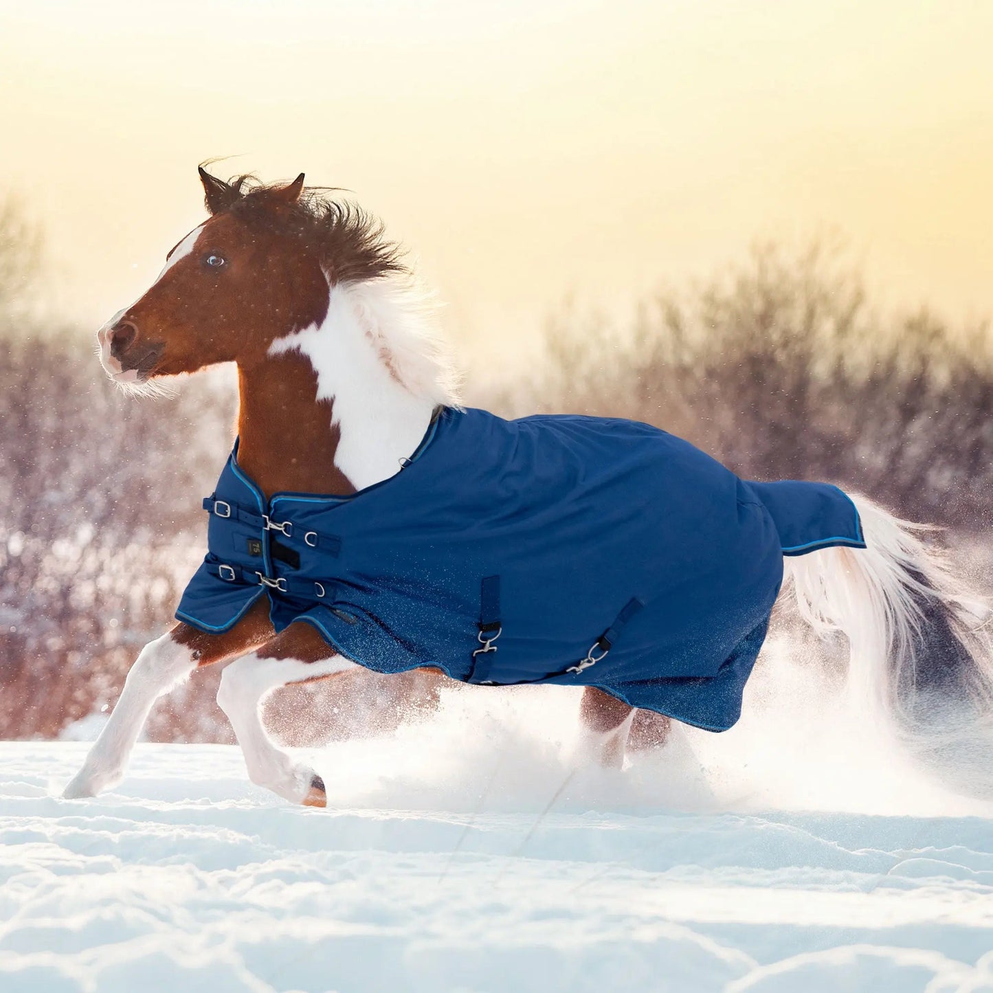 Pony Heavyweight 300g Horse Winter Turnout Blanket - Waterproof & Breathable - Riders Choice Supply Co